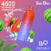 Evodrip WATERMELON BUBBLEGUM