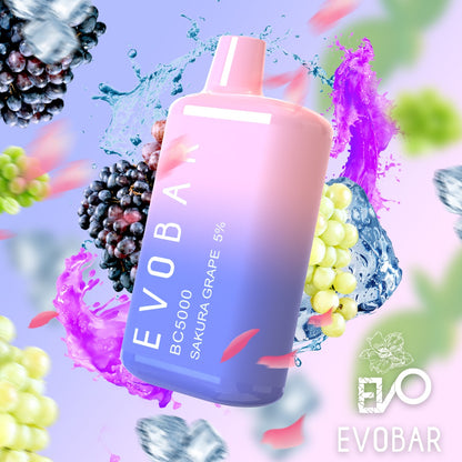 EVOBAR 10 pack